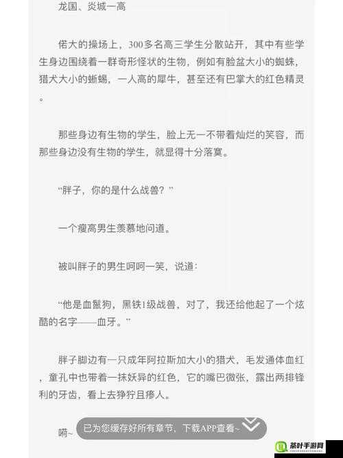 召唤师联盟全面解析，升星攻略与英雄突破实战心得分享