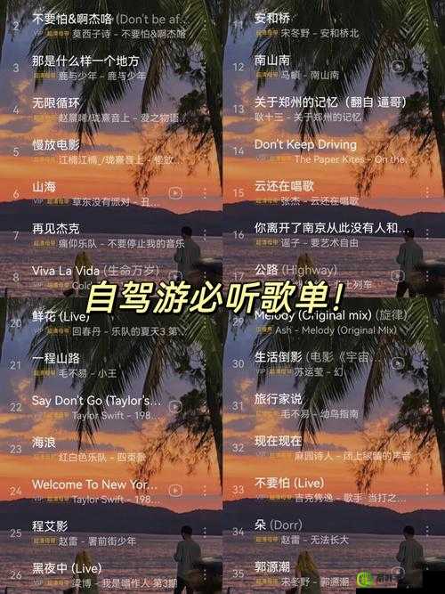 小猪草莓丝瓜深夜释放自己：探索自我与成长的旅程