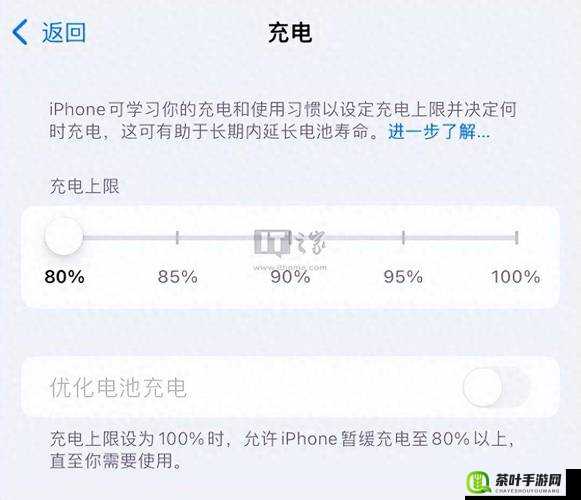 iPhone用户苹果版本充值全攻略，多种方式详解及充值注意事项指南